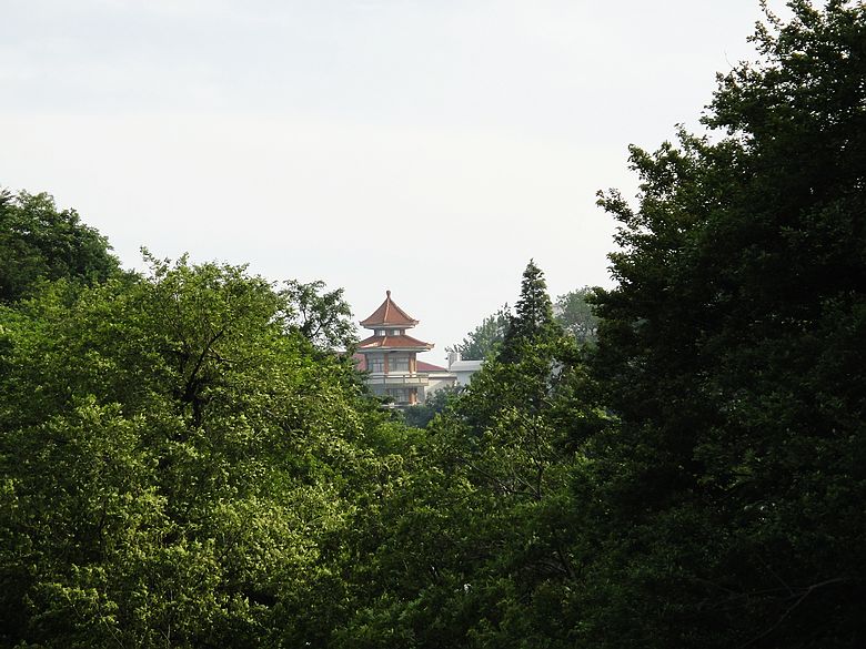 dsc05449.jpg