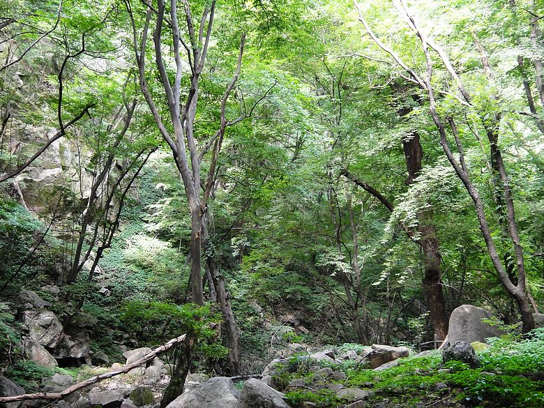 dsc05501.jpg