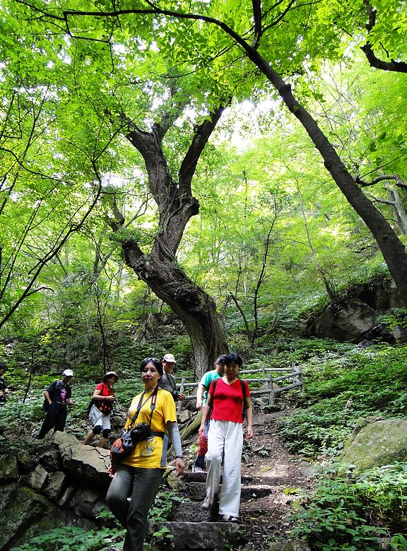dsc05503.jpg