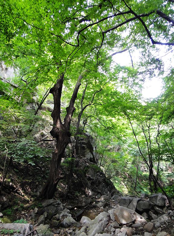 dsc05504.jpg