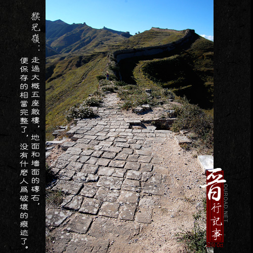 20101003_03732.jpg
