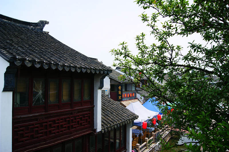 dsc07217.jpg