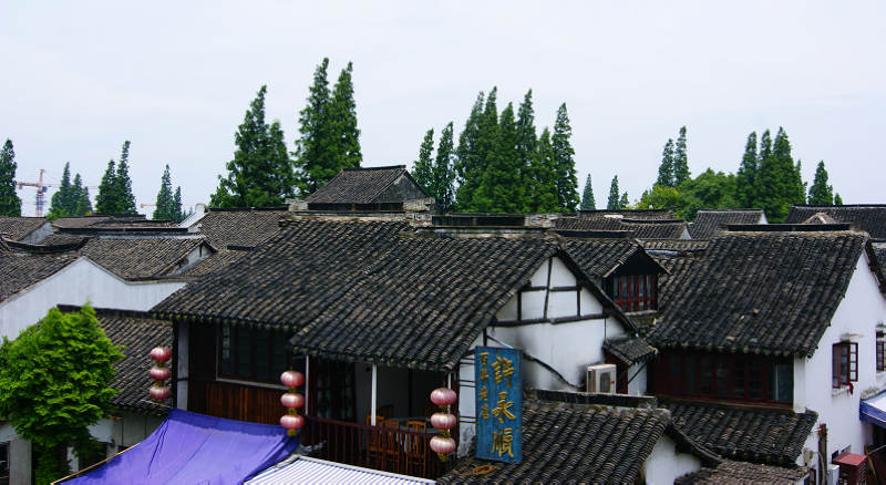 dsc07216.jpg