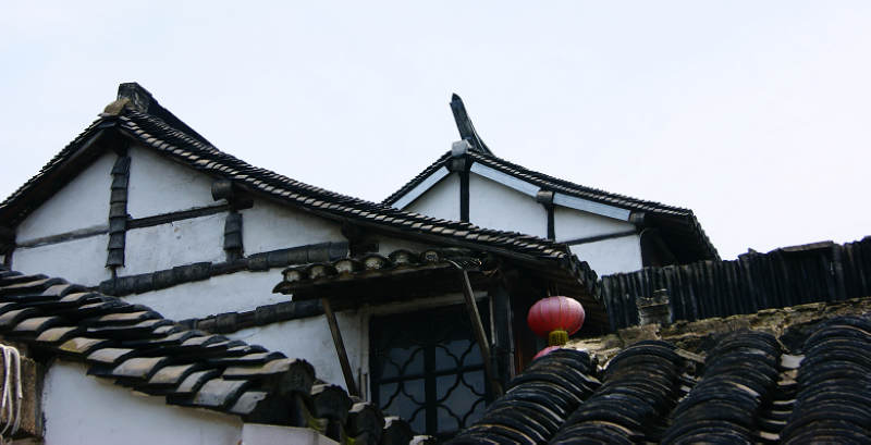 dsc07227.jpg