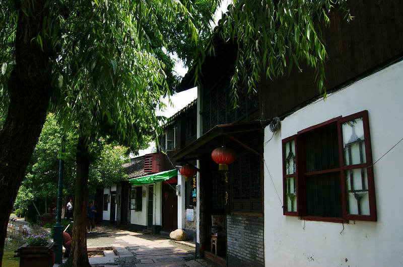 dsc07234.jpg