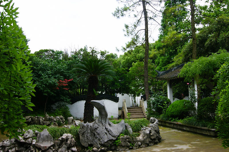 dsc07036.jpg