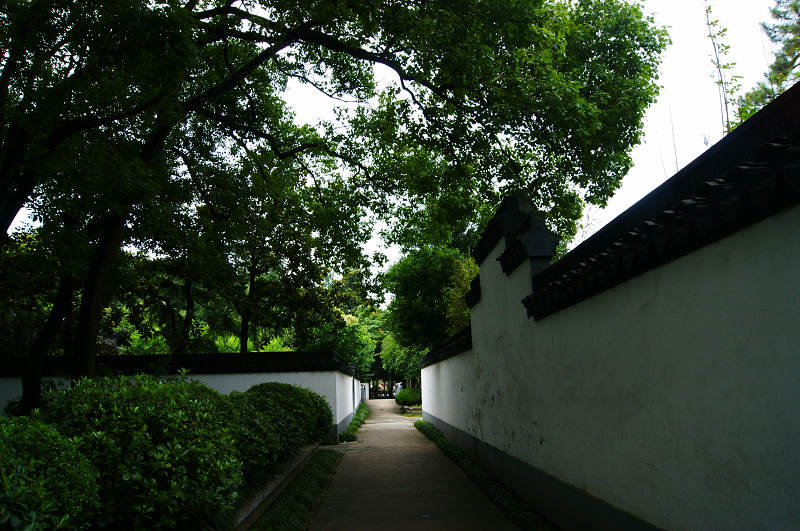 dsc07037.jpg