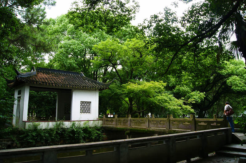dsc07041.jpg