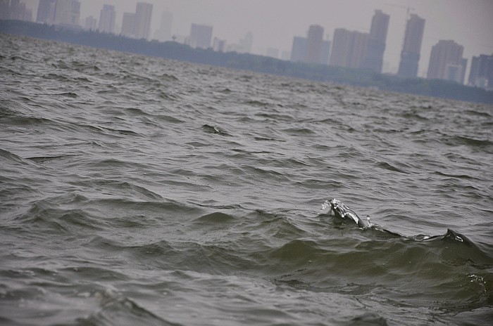 dsc_0067.jpg