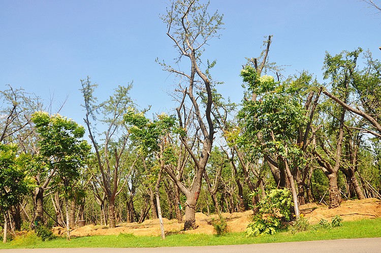 dsc_1435.jpg