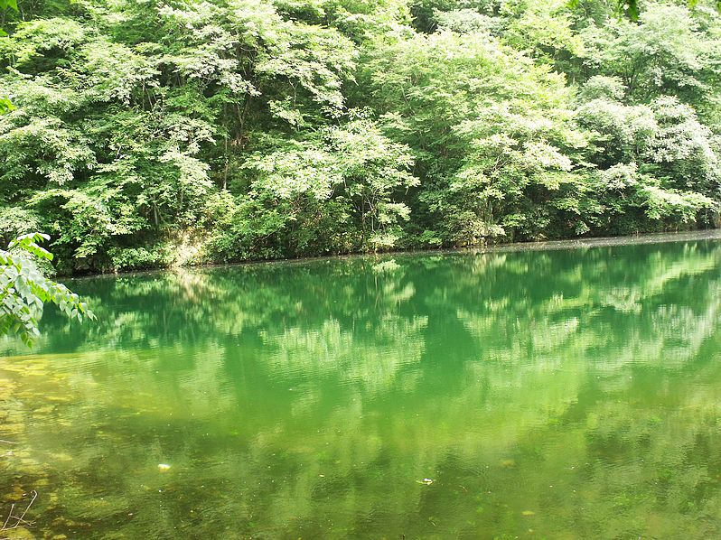 Ƭ 019.jpg