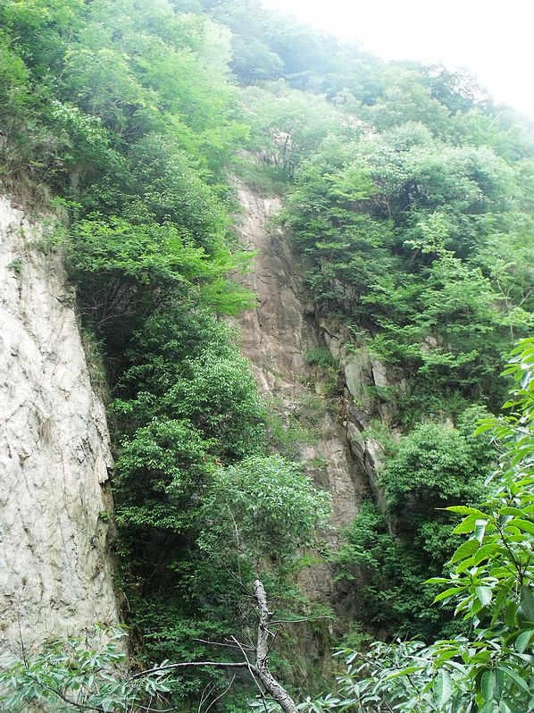Ƭ 022.jpg