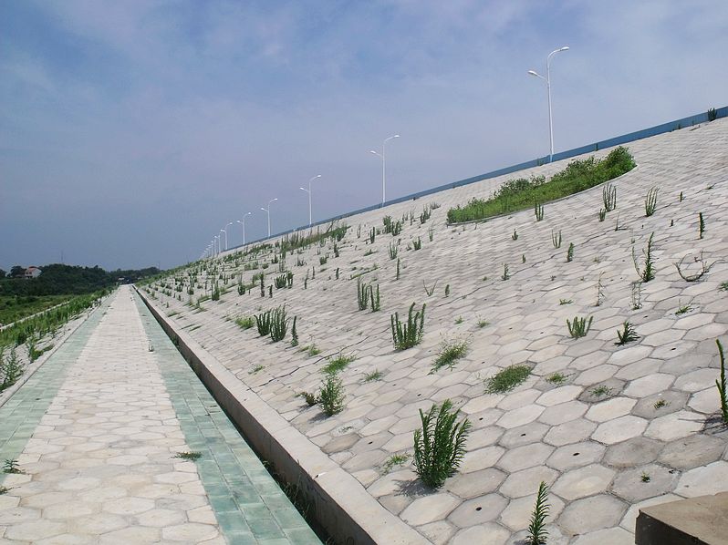 Ƭ 047.jpg