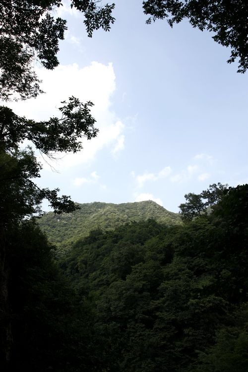 _mg_7313.jpg