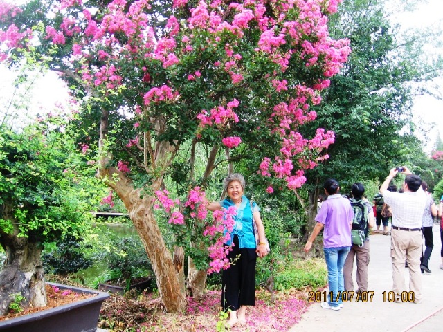 img_8676.jpg