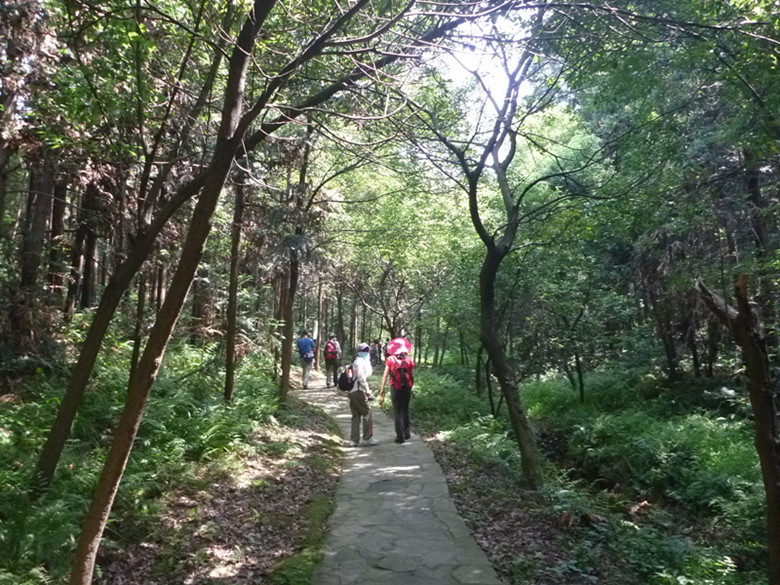 p1070177_.jpg