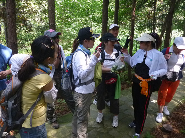 p1070180_.jpg
