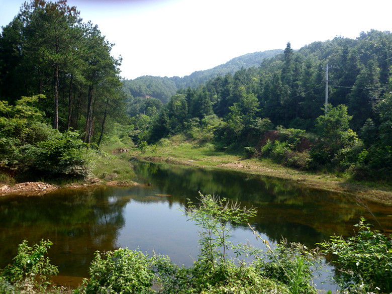 p1070164_.jpg