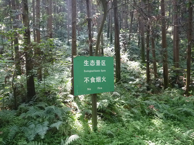 p1070176_.jpg