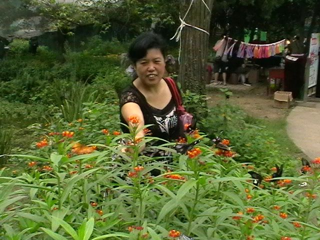 imga0122.jpg