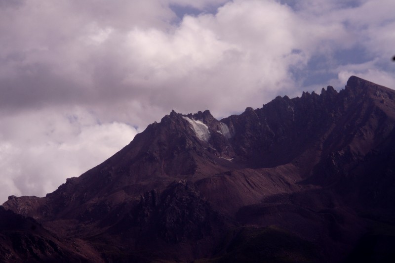 conew_dsc06761n.jpg
