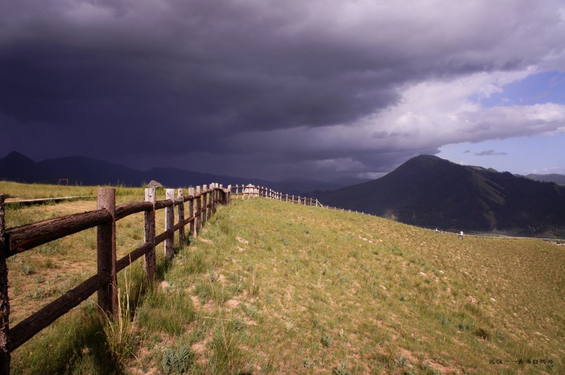 conew_dsc06820n.jpg