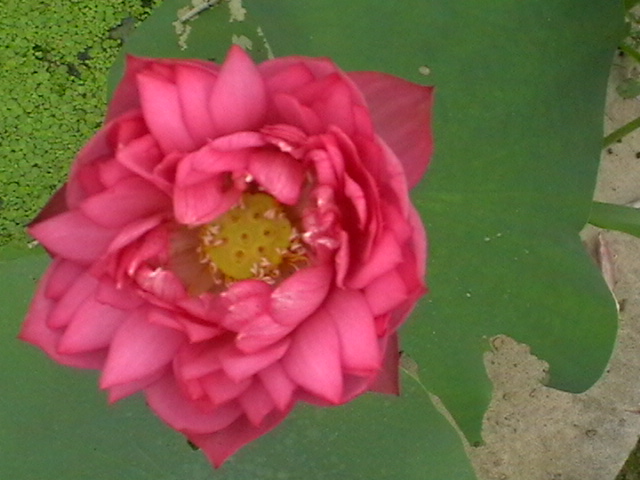imga0255.jpg