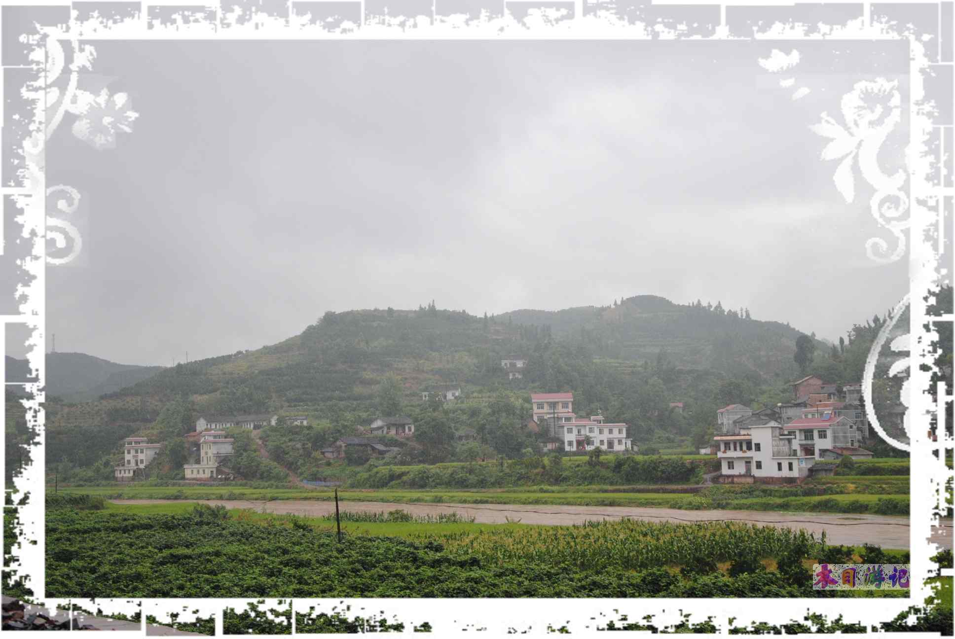 dsc_0037.jpg