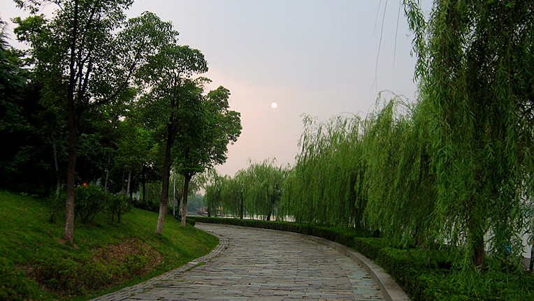 img_1717_01.jpg