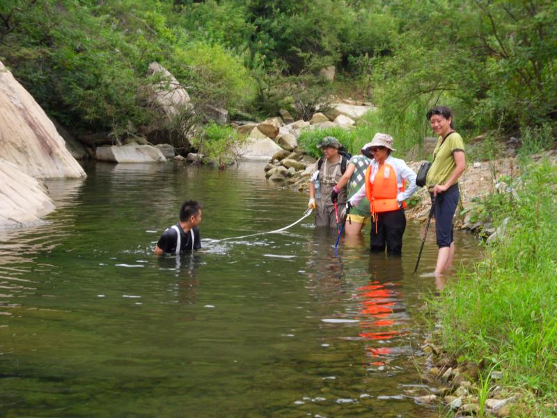 sdc10146.jpg