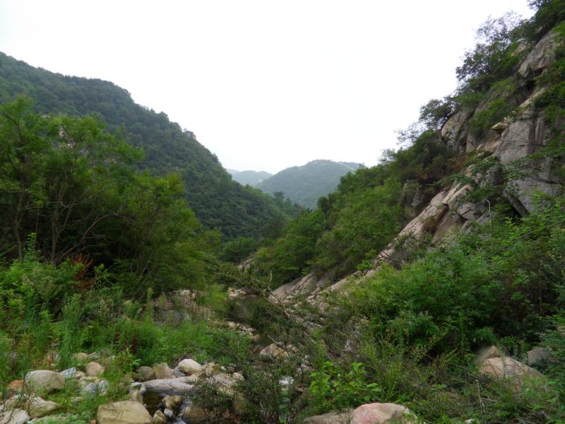 sdc10151.jpg