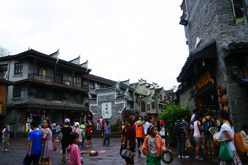 dsc08433.jpg