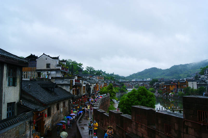 dsc08323.jpg