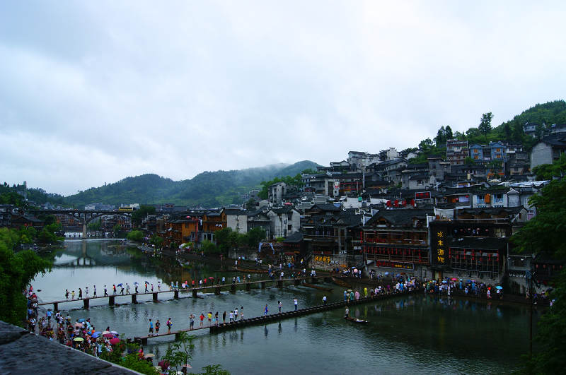 dsc08325.jpg