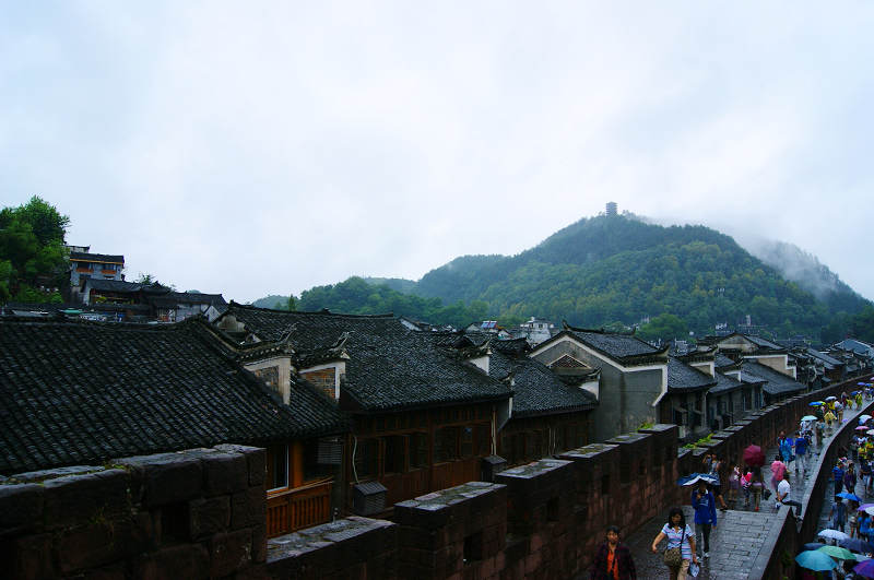 dsc08331.jpg