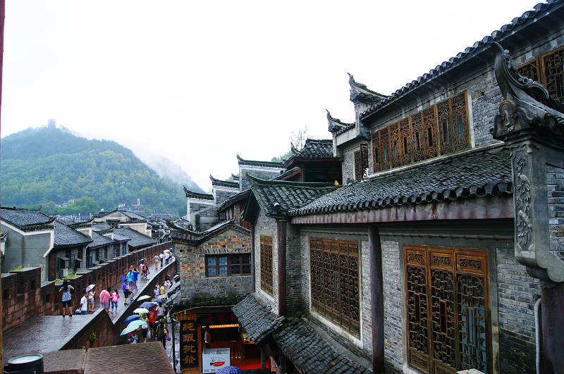 dsc08330.jpg