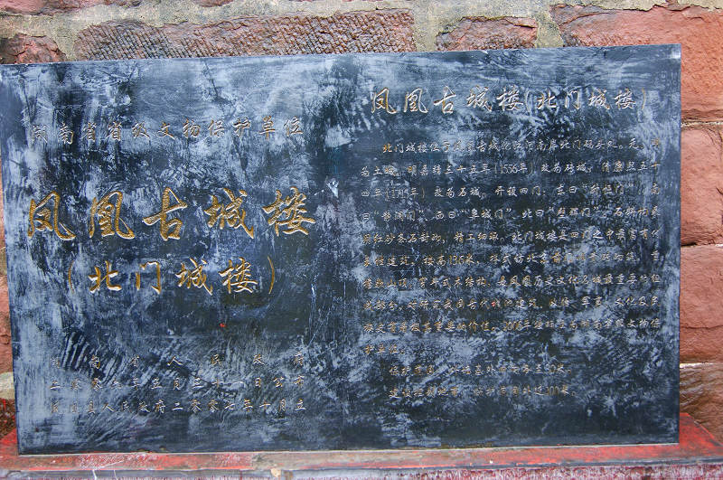 dsc08334.jpg