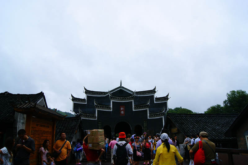 dsc08353.jpg