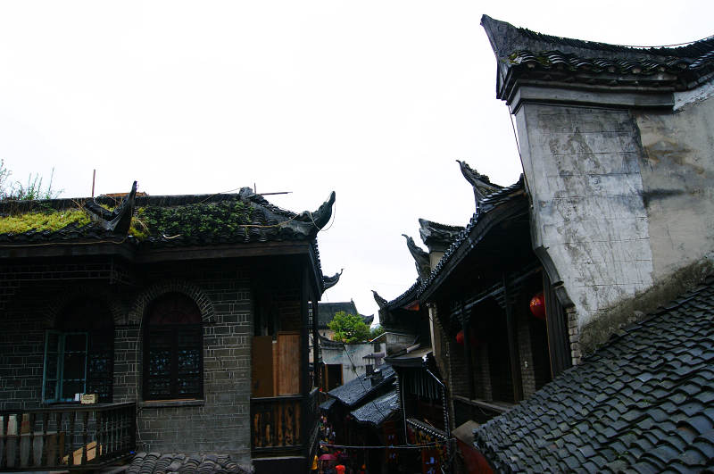 dsc08355.jpg