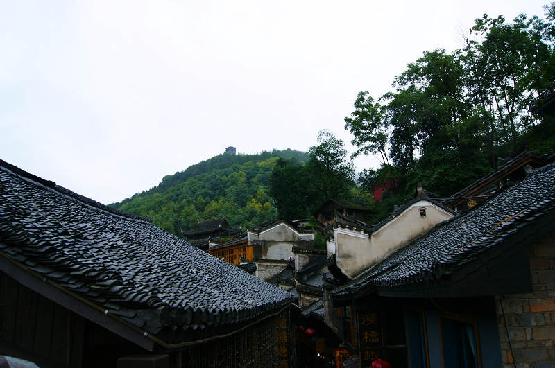 dsc08356.jpg