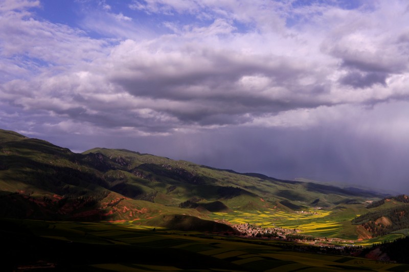conew_dsc06905n.jpg