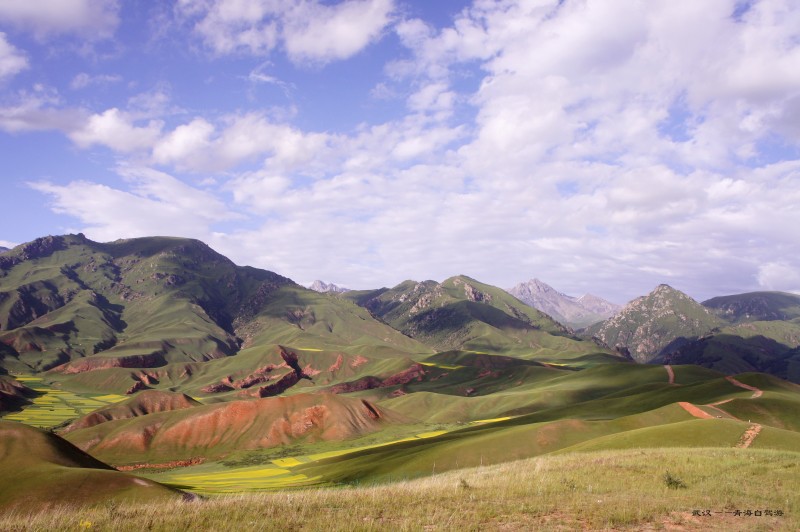 conew_dsc06888n.jpg