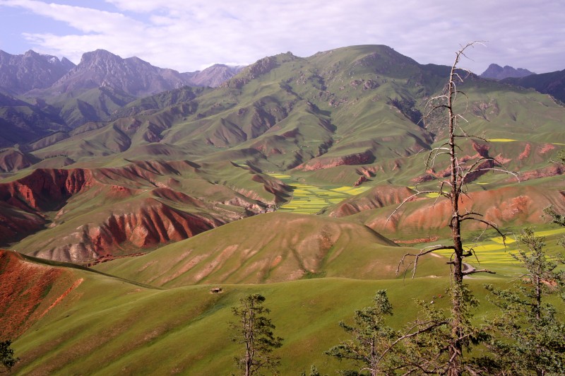 conew_dsc06853n.jpg