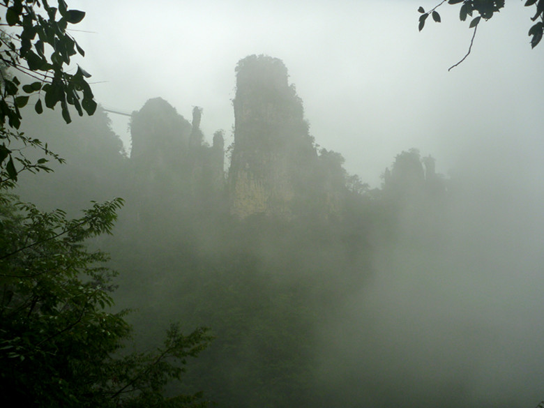 p1070361_.jpg