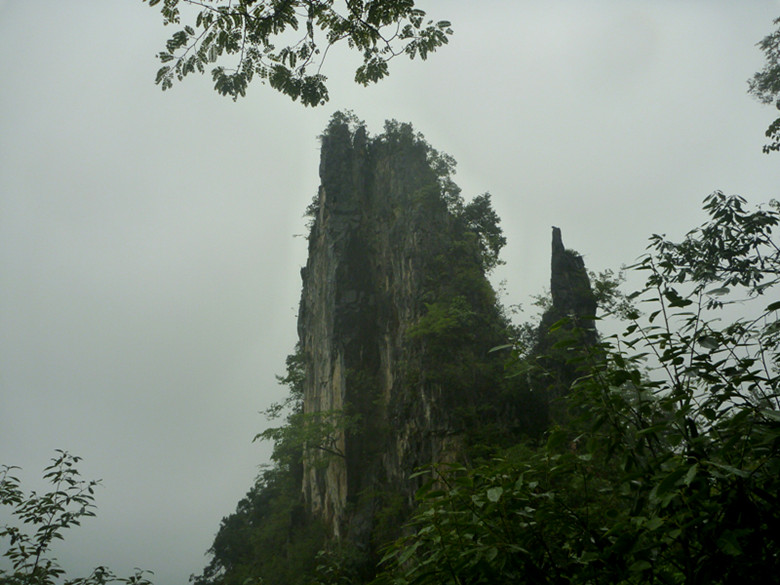 p1070376_.jpg