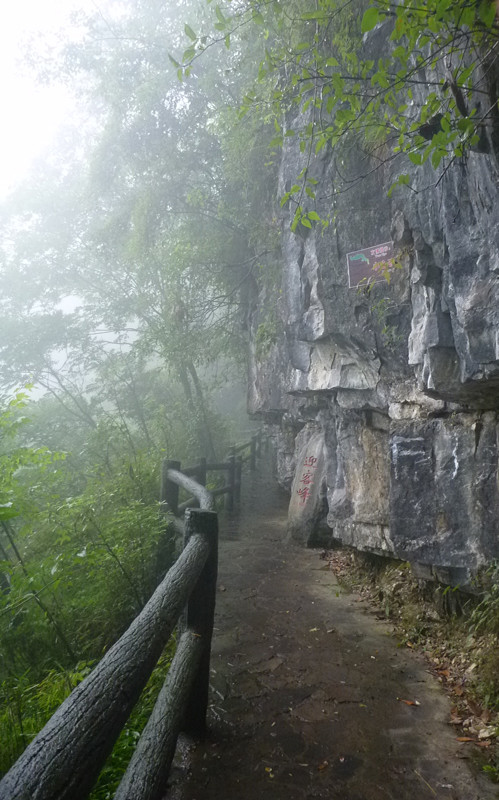 p1070365_.jpg
