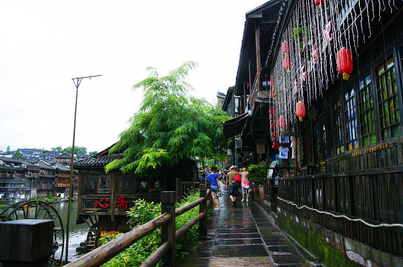 dsc08387.jpg
