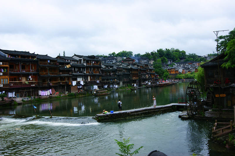 dsc08384.jpg
