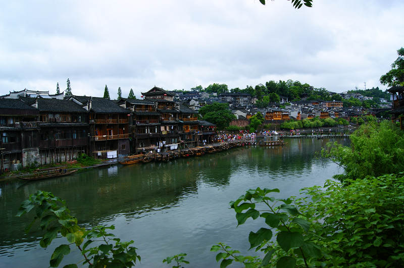 dsc08389.jpg