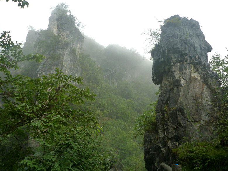p1070380_.jpg